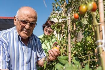 Hort del Pavelló Nord