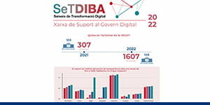 Infografia elaborada pel Gabinet d'Innovació Digital