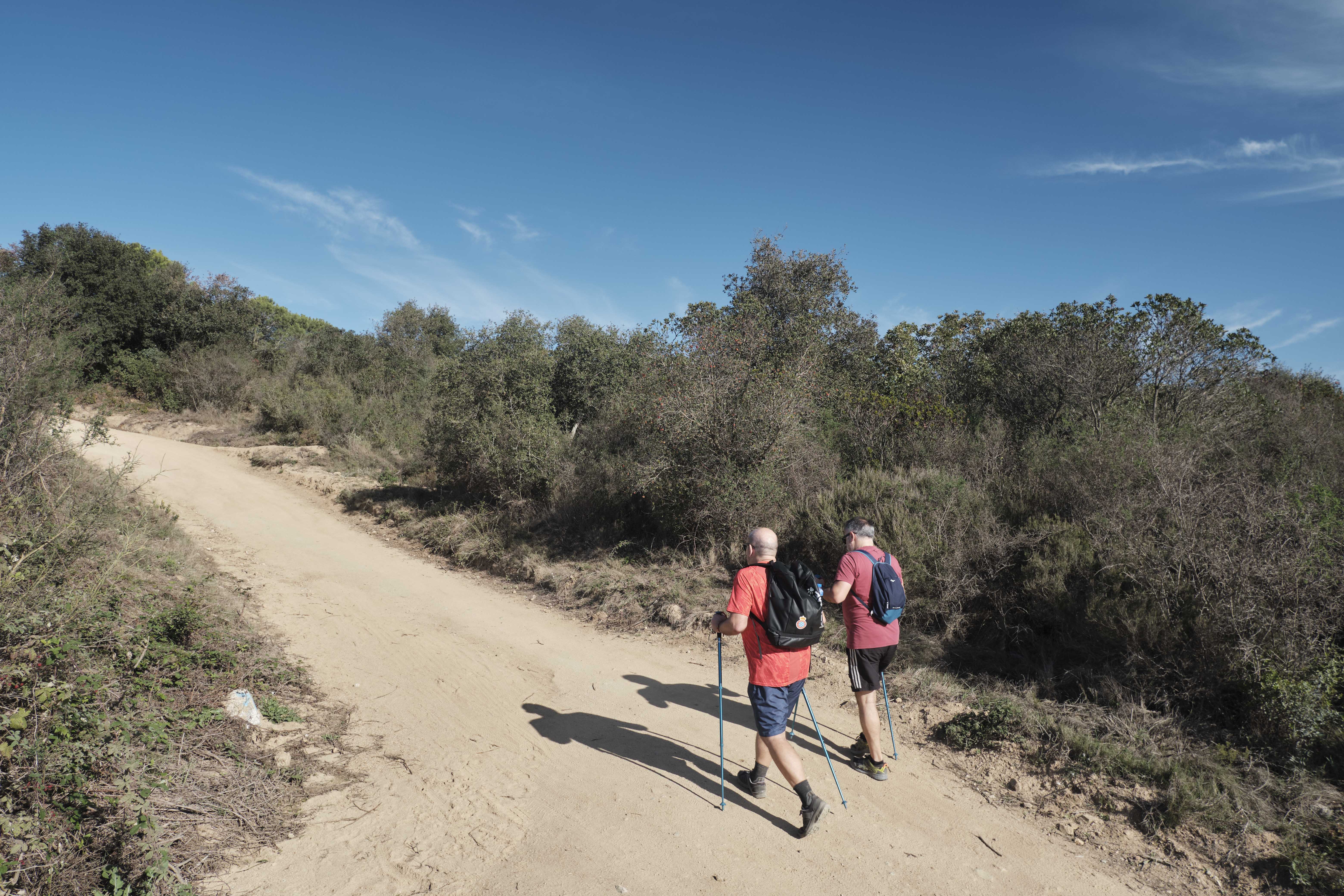Caminos en el Parque. Autor: Oriol Clavera / Diputación de Barcelona