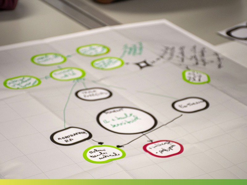 Dinàmica de treball. Autor: Life eCOadapt50