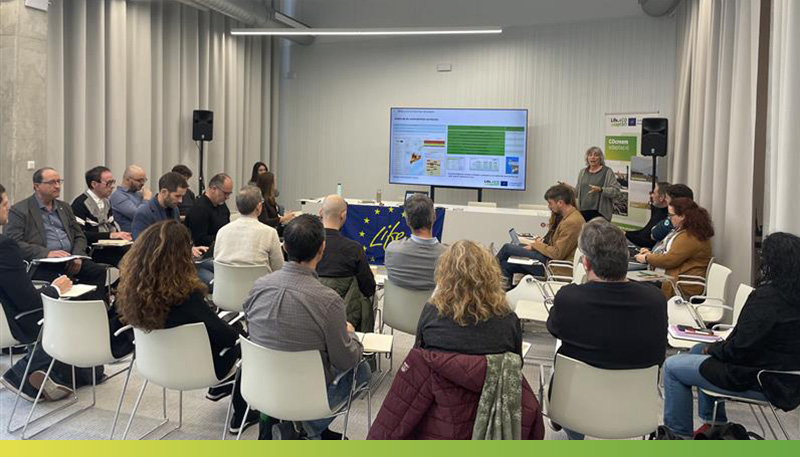 Reunió del comitè de direcció del projecte.