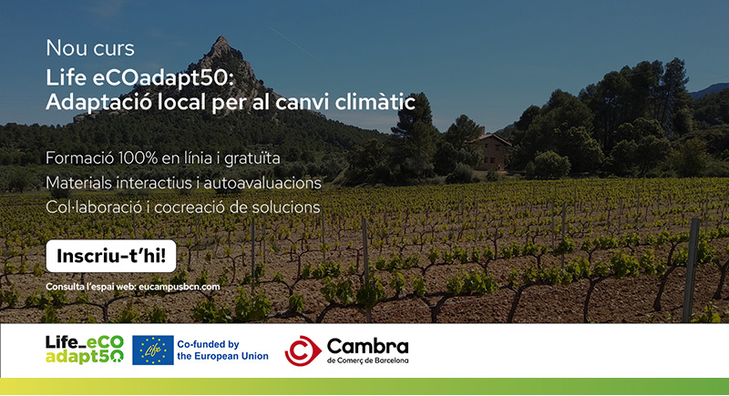 Cartell del curs.