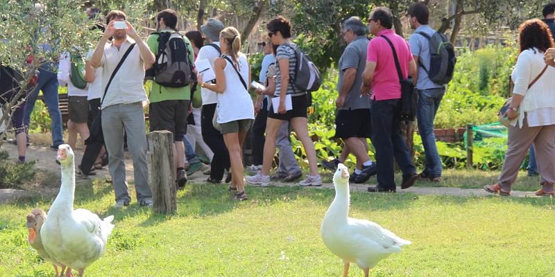 Sessió de formació ambiental