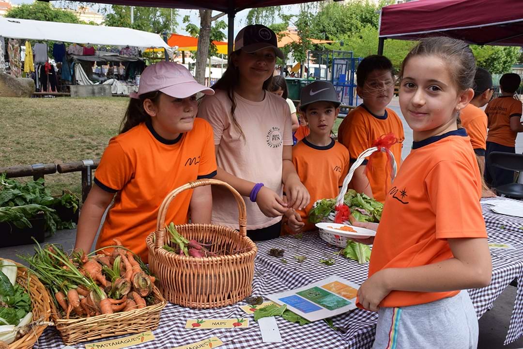 Venda de cooperatives de Montornès del Vallès